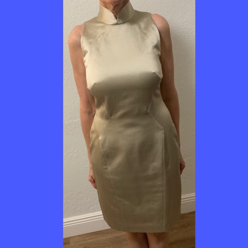 Elegant Dress